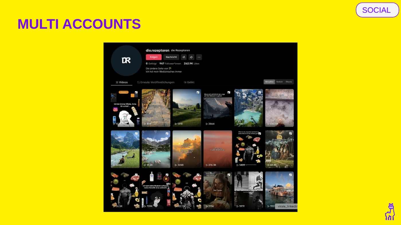 Zweiter Account neben dem Hauptkanal, mit eigener Tonalit&auml;t, aus dem Webinar-Deck.