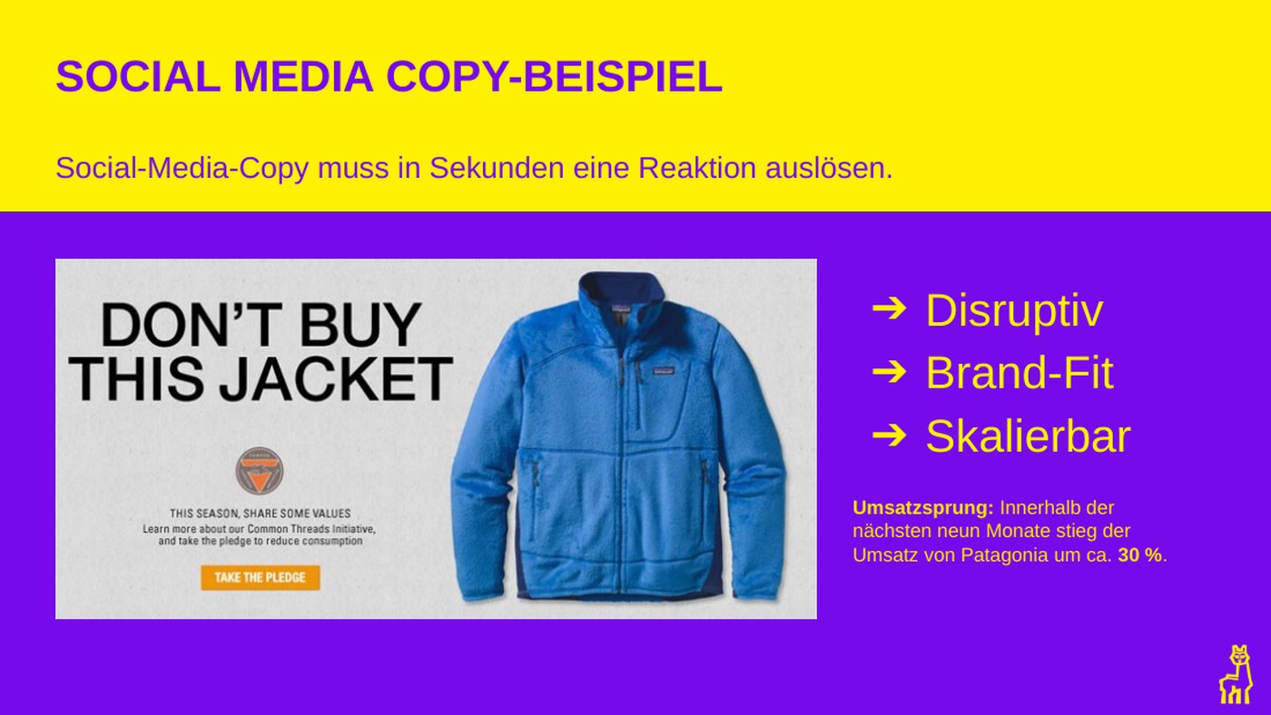 Slide aus dem Webinar: die Patagonia-Anzeige Don't buy this jacket als Beispiel für disruptive Social-Media-Copy